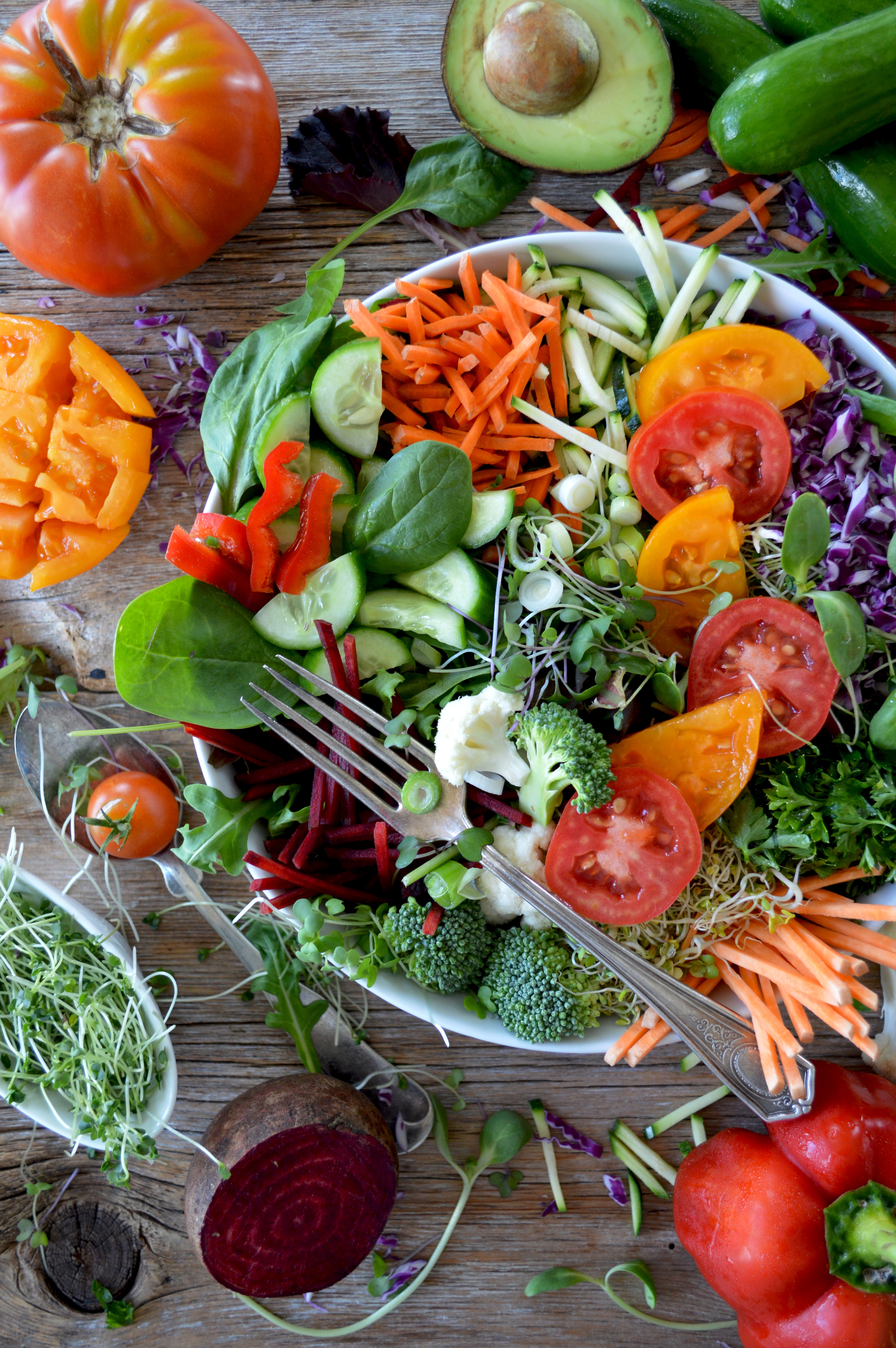 photo of beautifully arranged food
